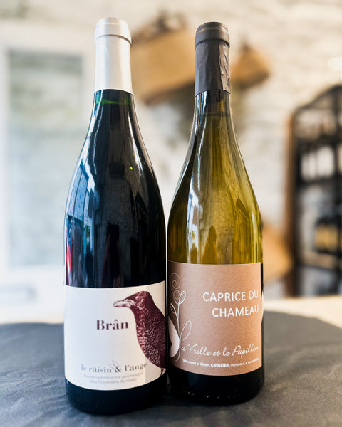 Funky Christmas Pair